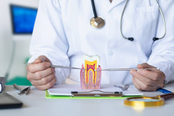 Best Holiday Emergency Dentist in North Muskegon, MI